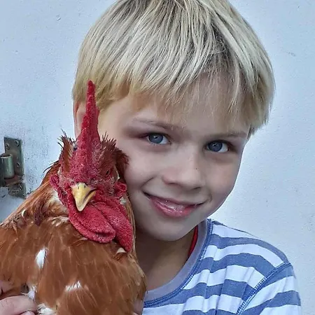 Baust Im Muehlental Appartamento Eslohe