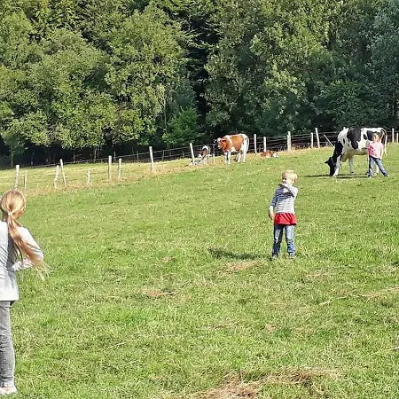 Baust Im Muehlental Appartamento *