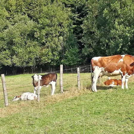 Baust Im Muehlental